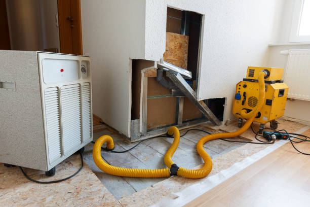 Best Mold Damage Restoration  in Elkin, NC