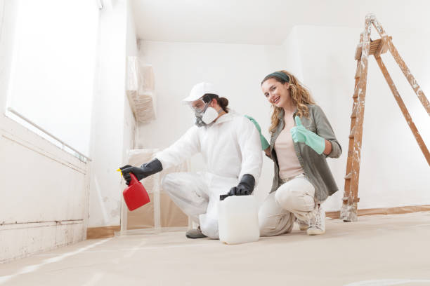 Mold Odor Removal Services in Elkin, NC